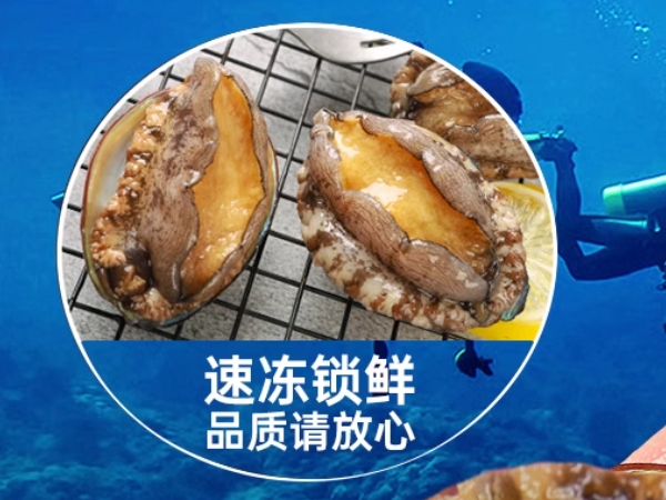 鲍鱼抱着吃 鲍鱼吃饭