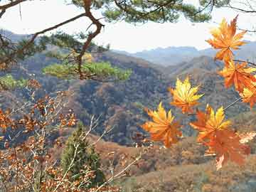 鹤山到威海直达车？鹤山到威海时刻表查询