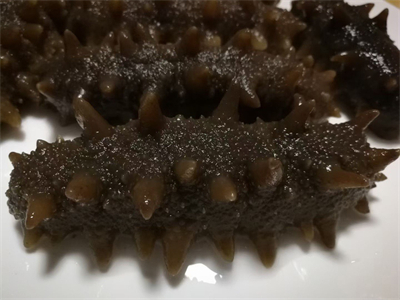 花菇海参鸡翅的做法 花菇海参鸡翅的做法视频