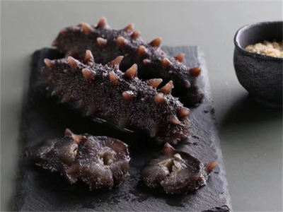 甘肃省海参的做法与吃法(海参的做法与吃法视频)