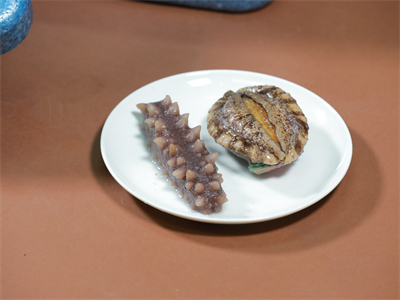 鱼胶海参虫草炖汤的做法，鱼胶海参虫草炖汤的做法视频