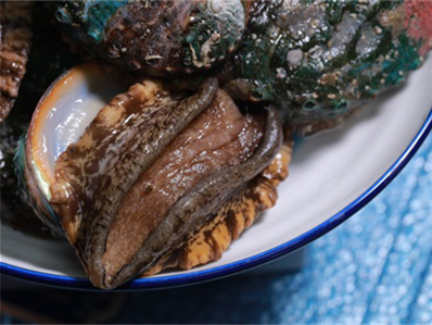 香菇海参酱的做法 香菇海参酱的做法大全