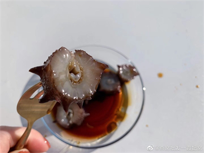 清蒸新鲜海参的做法(清蒸新鲜海参的做法视频)