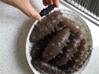 海参菌的做法 海参菌图片