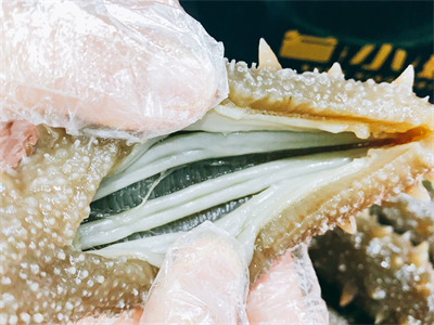 海参鲍鱼炖母鸡的做法 海参鲍鱼小米粥的做法