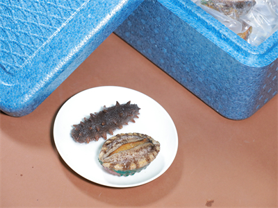 海参煮冬菇的做法，海参冬瓜最简单做法
